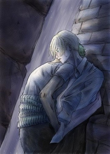 海贼 索隆和山治.哦吼吼