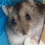 Wataru