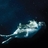 Nymph/2170737/1-01-01 00:00