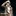 Wadye 2992577