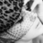 Lavia