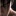 Steve… 1318315