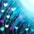 Alice2406051/2406051/1-01-01 00:00