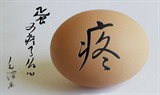 蛋
