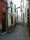 200904111345258867