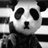 Pandaaaa