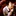 Karic… 3148981