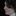 Rum_ 1462868