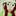 花都开好了。