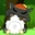 GoaWitch