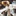 Grego… 1601135