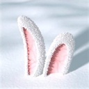 HoneyBunny(711767)