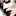 sasam… 2282458