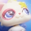 猫咪小
