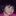 SHAN_… 2184474