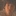 laila… 1418952
