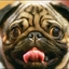 candy3347432