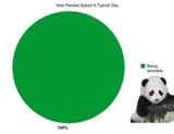 funny-gra…