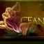 CFan
