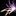 DELET… 1010339
