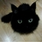 天蝎猫