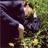 mike234/1244403/1-01-01 00:00