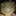 tropi… 1527499