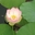 大鱼222157
