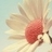 forever