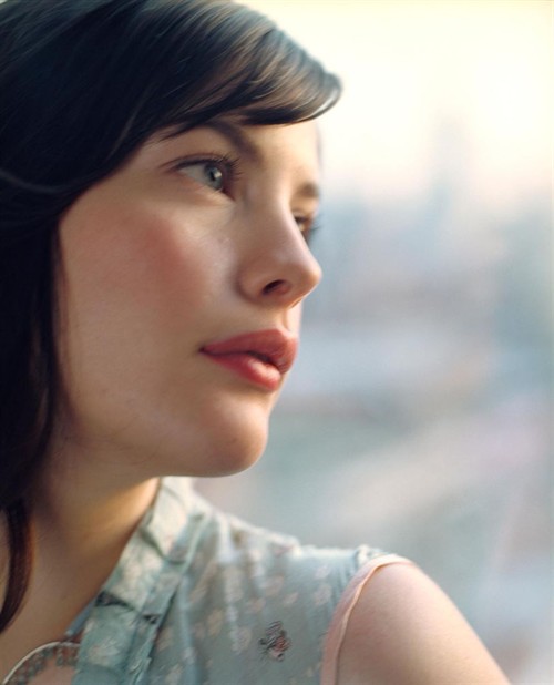 丽芙泰勒新消息评论