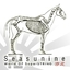 Seacunine