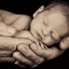 Lady·Young