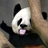 儿科案例