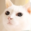 _yuE玥