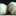 caixn… 3931976