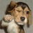 HearMe