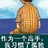 不要迷恋哥