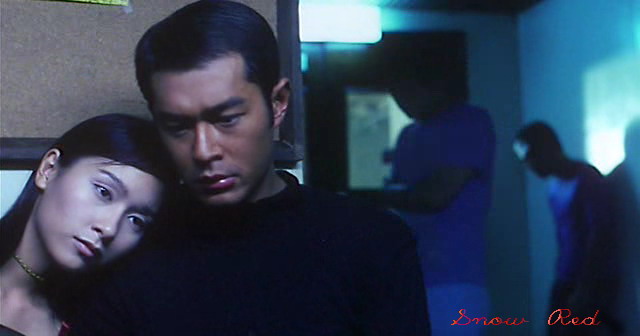 新家法国语-新家法,杨恭如,新家法完整版,新家