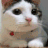 樱桃猫咪