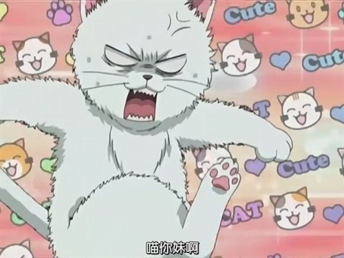 喵你妹啊– Mtime时光网