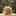 lenno… 2992882