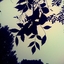 maomaom8