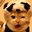 啊猫啊狗865185