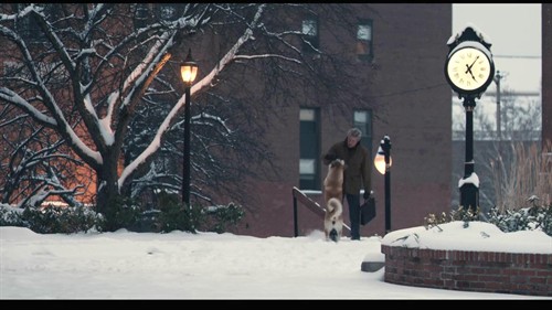 忠犬八的故事 感动图集 – 《忠犬八公的故事》