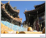 summer palace (5)