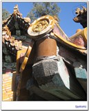 summer palace (7)