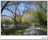 summer palace (32)