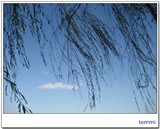 summer palace (60)