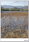 summer palace (61)