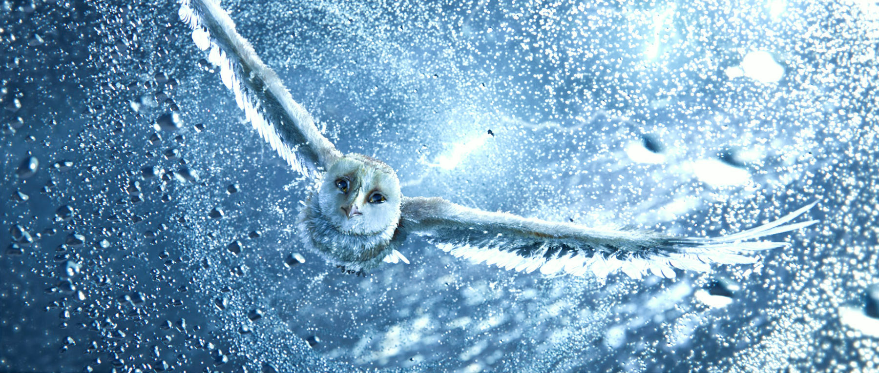 梦境之谜,冰封鱼影——我与爱侣的奇幻救援之旅 梦境之谜,冰封鱼影——我与爱侣的奇幻救援之旅